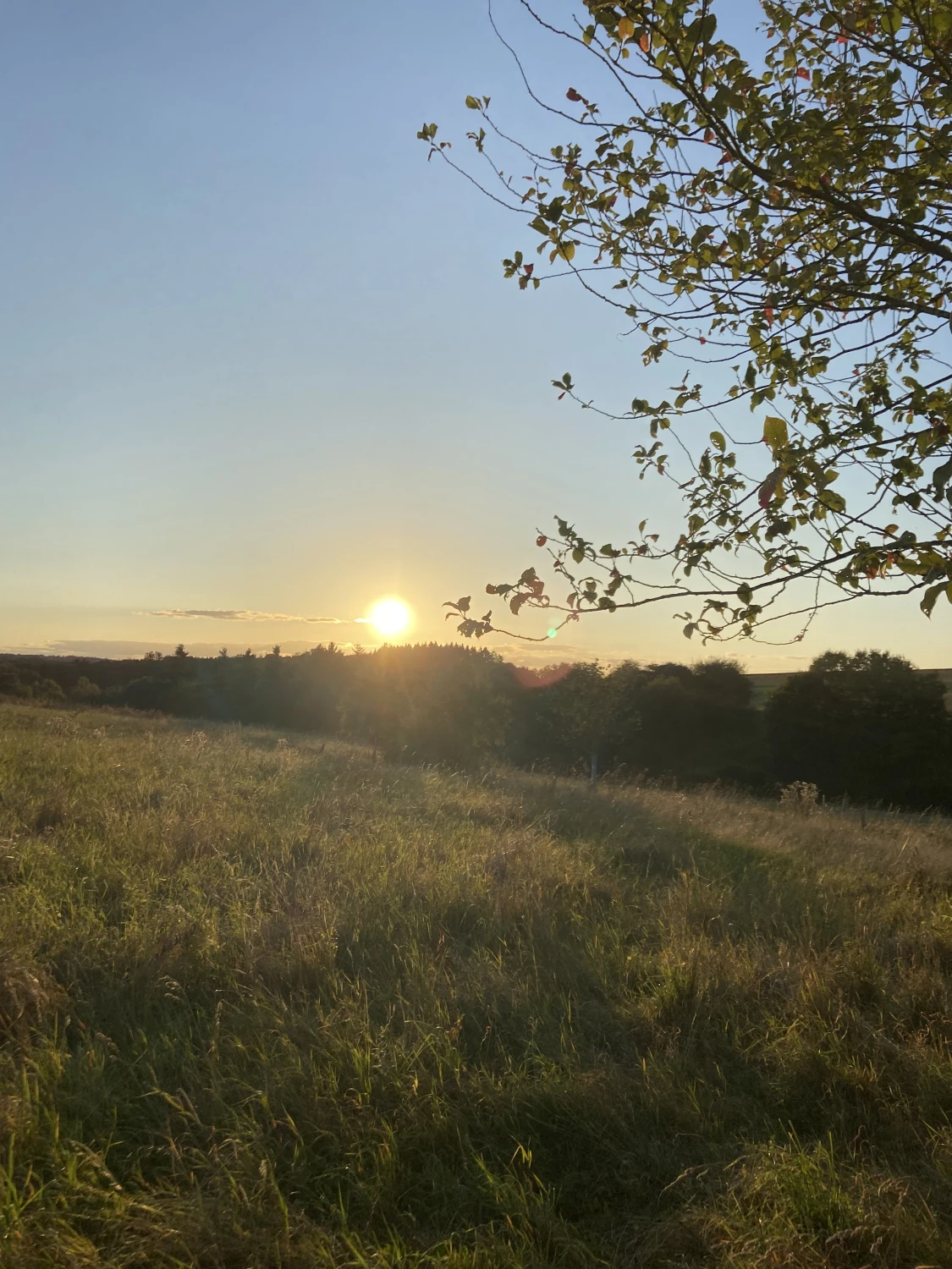 Tierbegegnungshofes von Tierbegegnungshof-Herzensbande