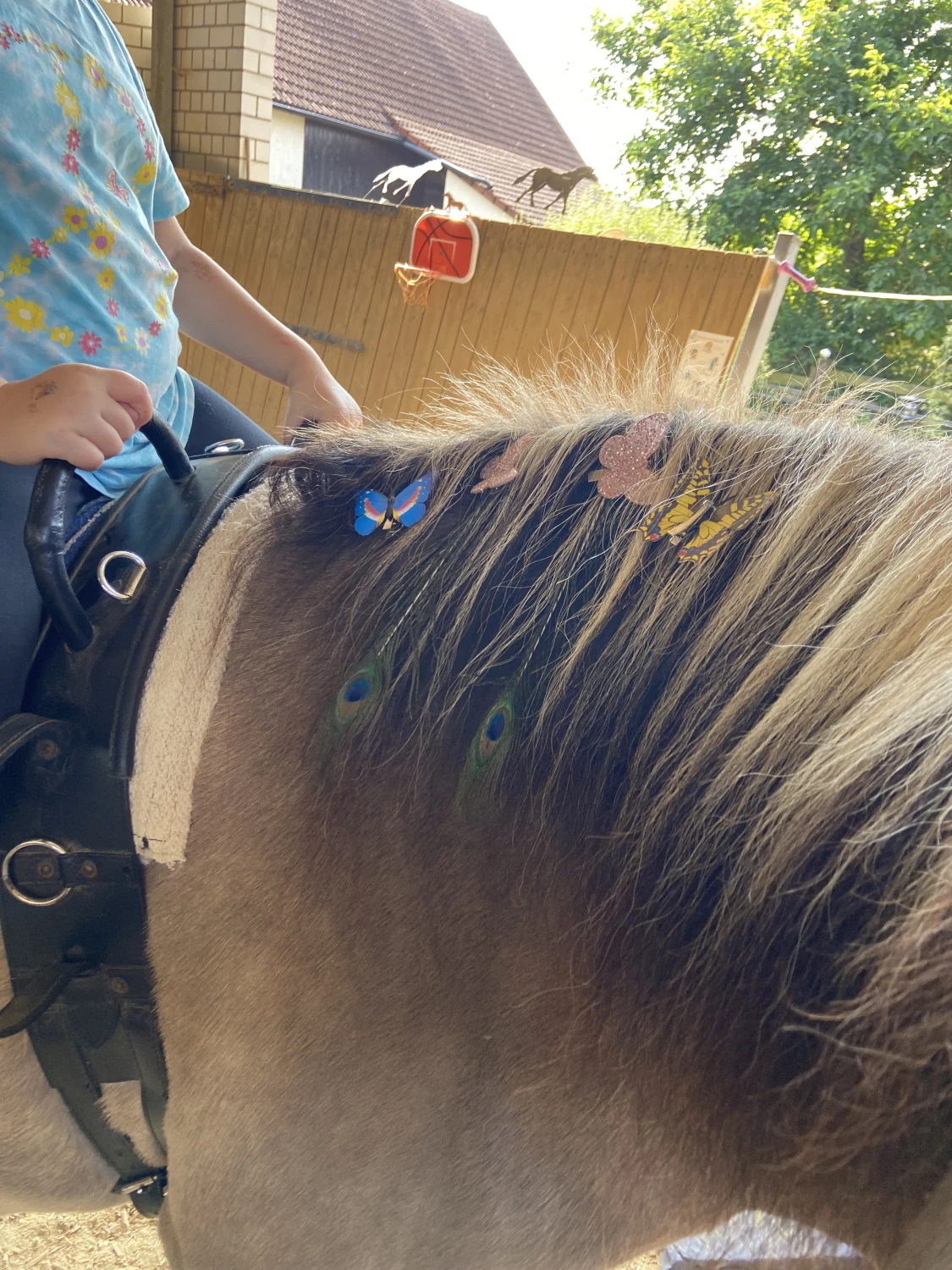 Kind auf Pferd von Tierbegegnungshof-Herzensbande