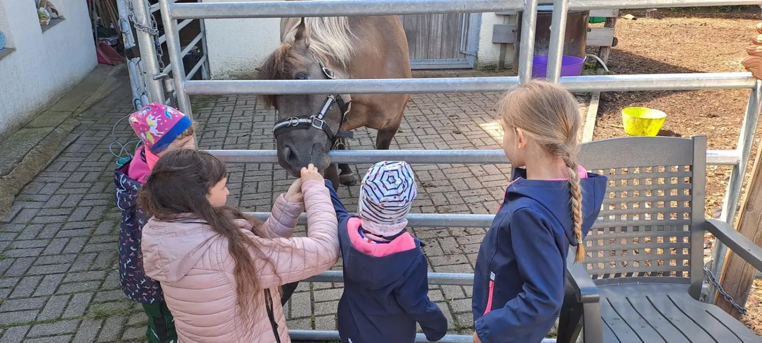 Ponyspielgruppen von Tierbegegnungshof-Herzensbande