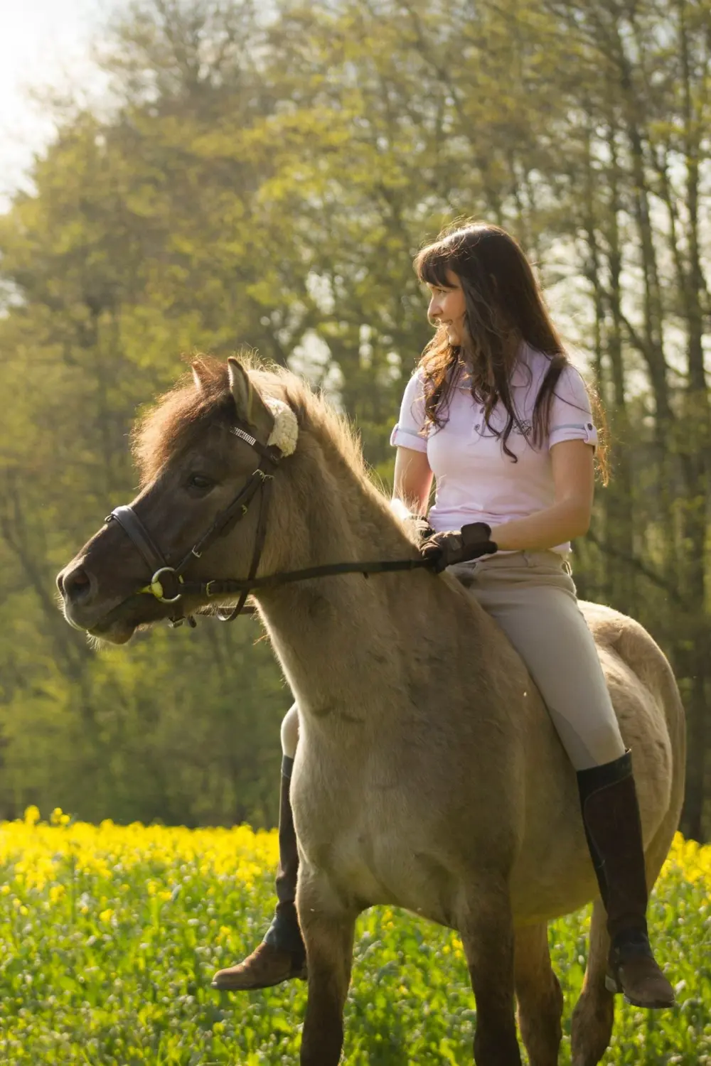 Mädchen auf Pferd  von Tierbegegnungshof-Herzensbande