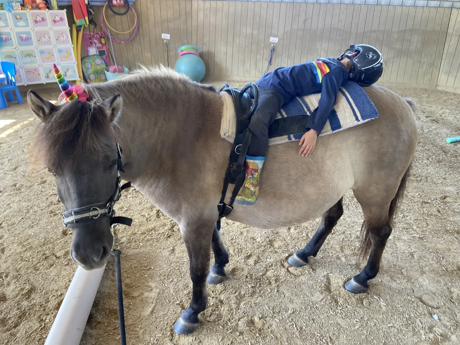 Kind auf Pferd von Tierbegegnungshof-Herzensbande