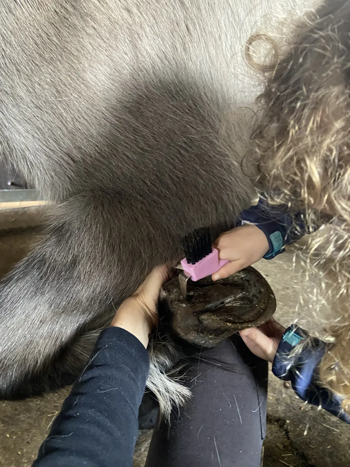 Ponyspielgruppen von Tierbegegnungshof-Herzensbande