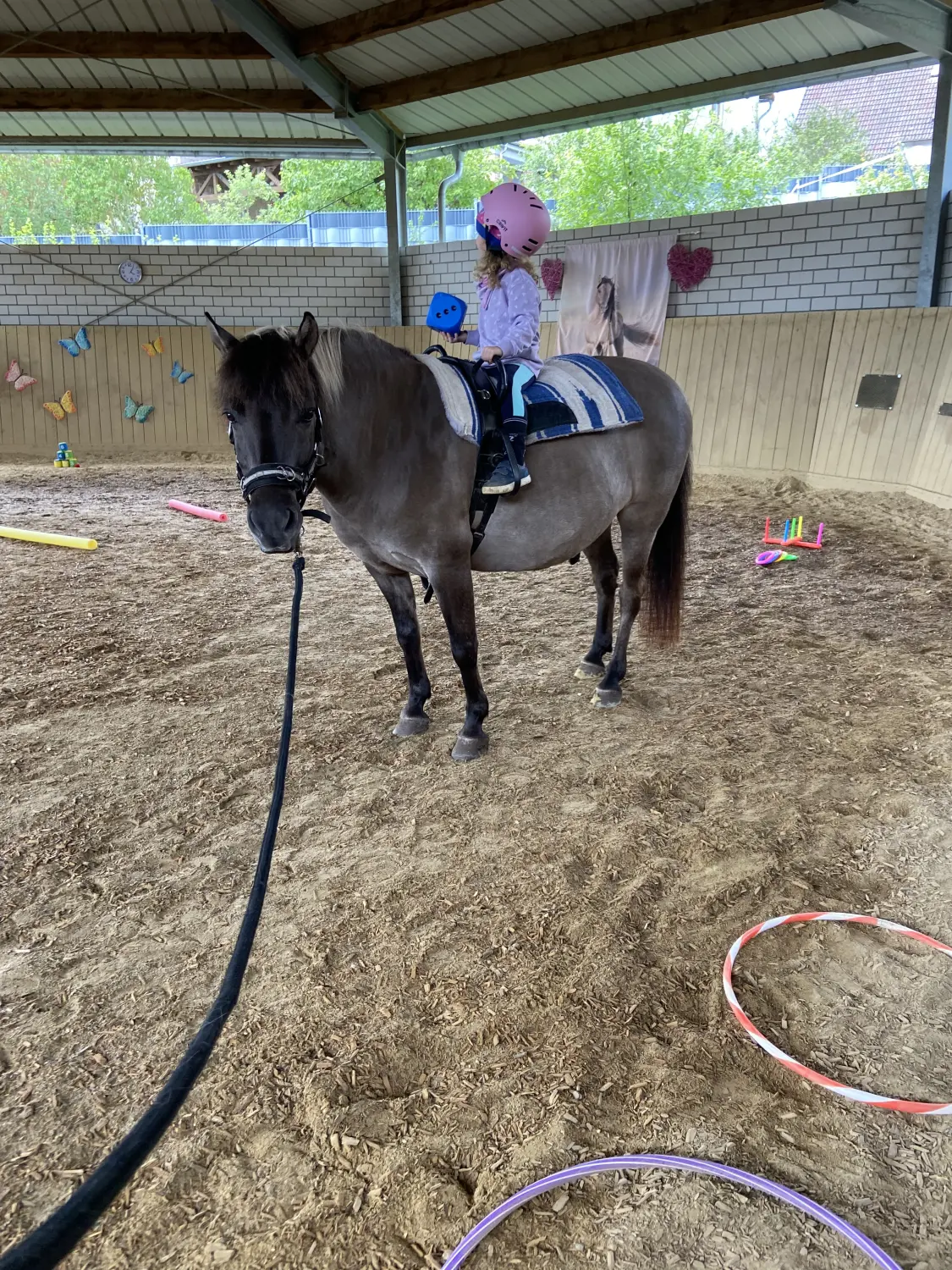 Ponyspielgruppen von Tierbegegnungshof-Herzensbande