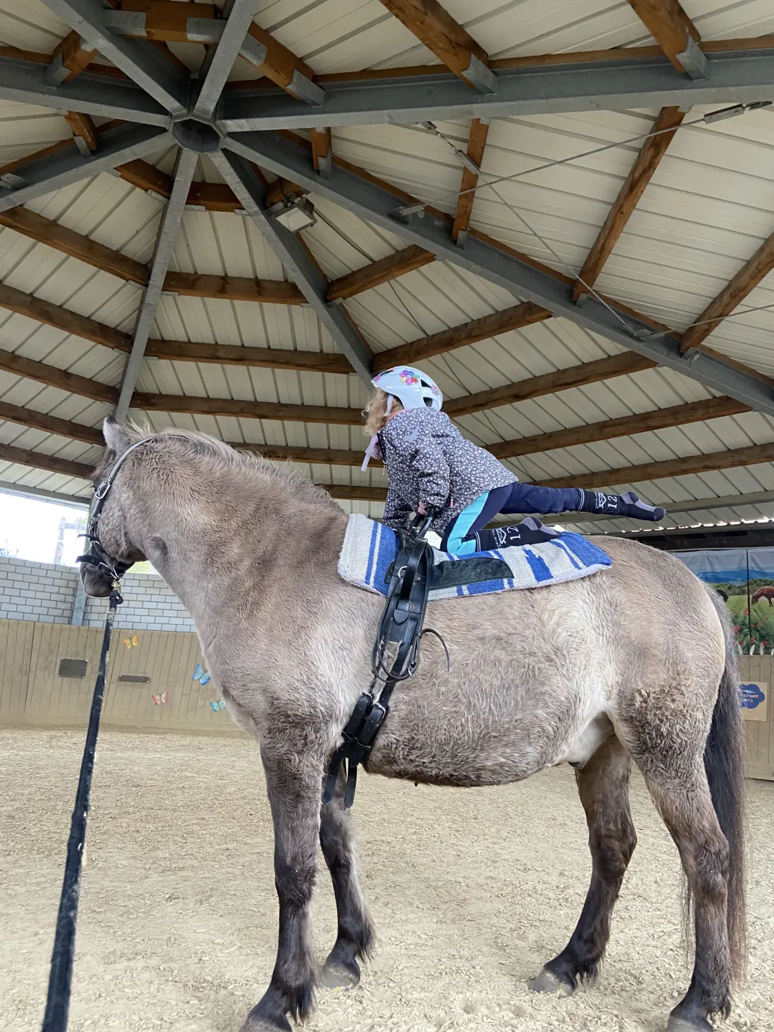 Kind auf Pferd von Tierbegegnungshof-Herzensbande