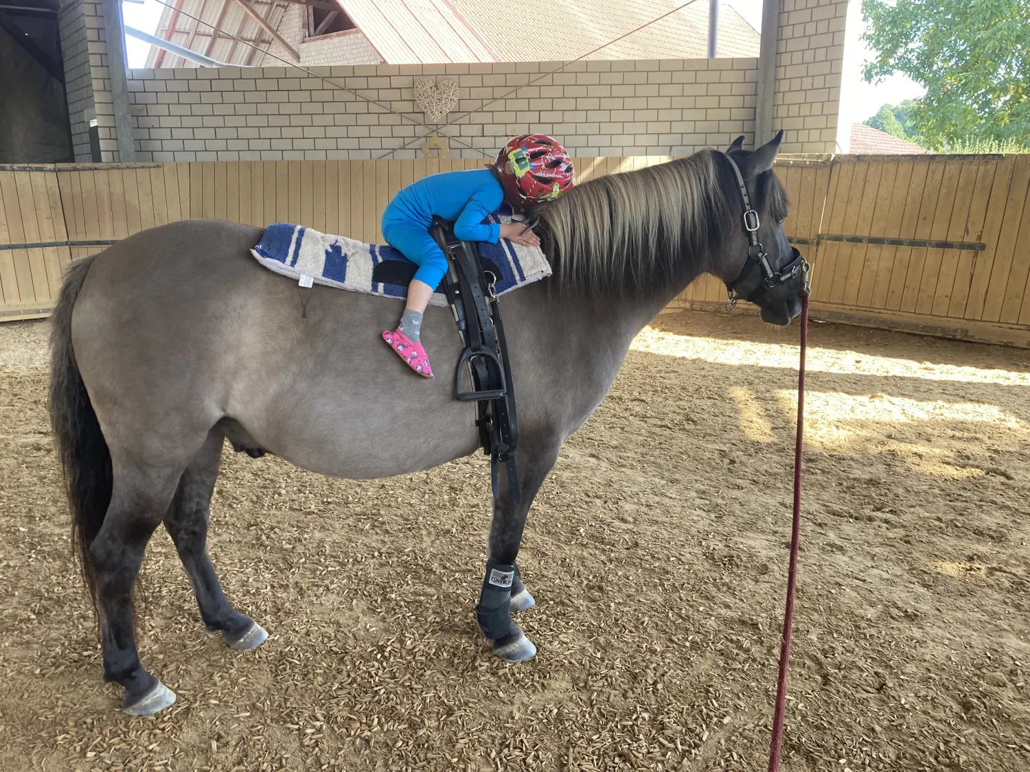 Kind auf Pferd von Tierbegegnungshof-Herzensbande