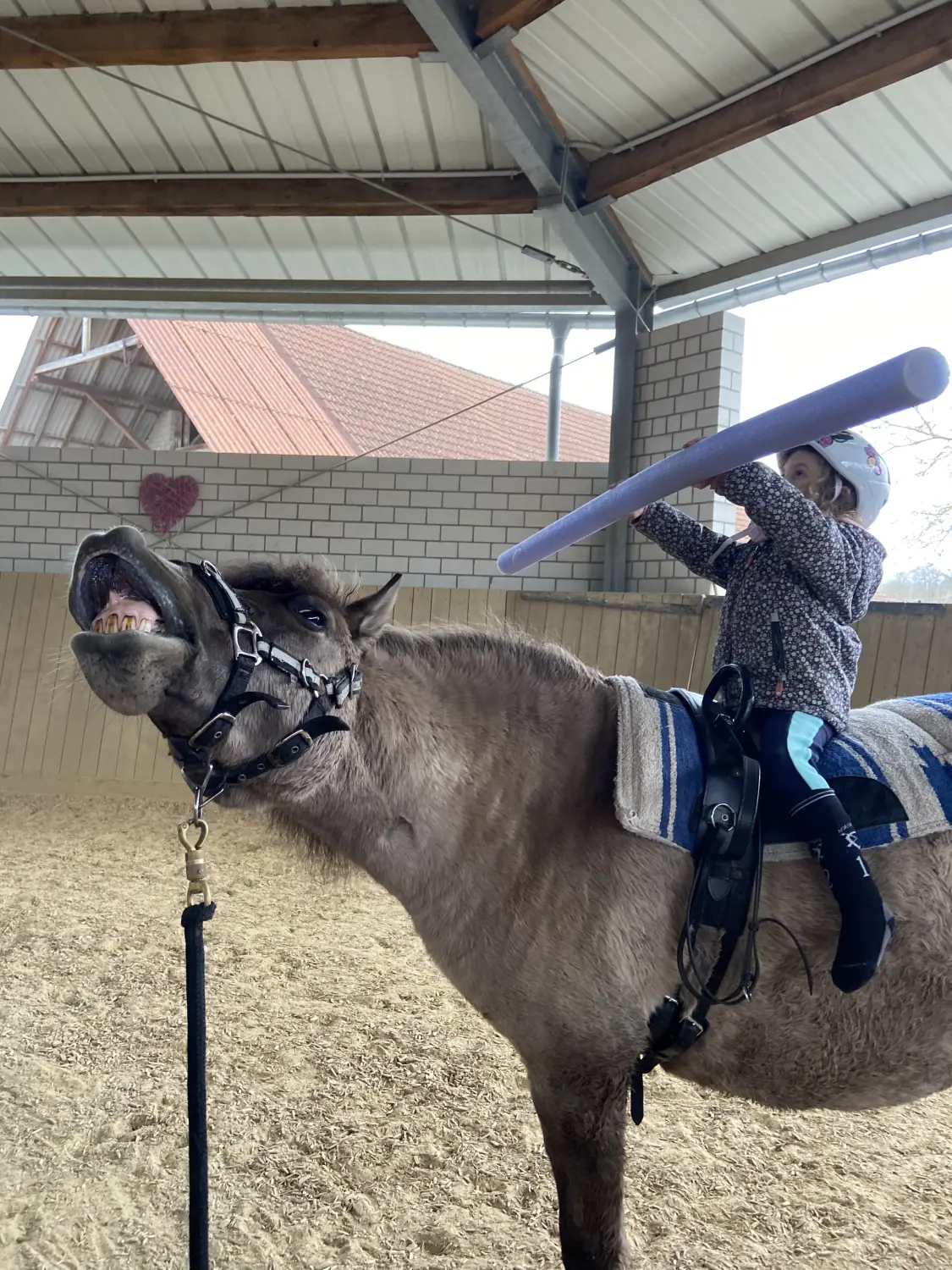 Kind auf Pferd von Tierbegegnungshof-Herzensbande