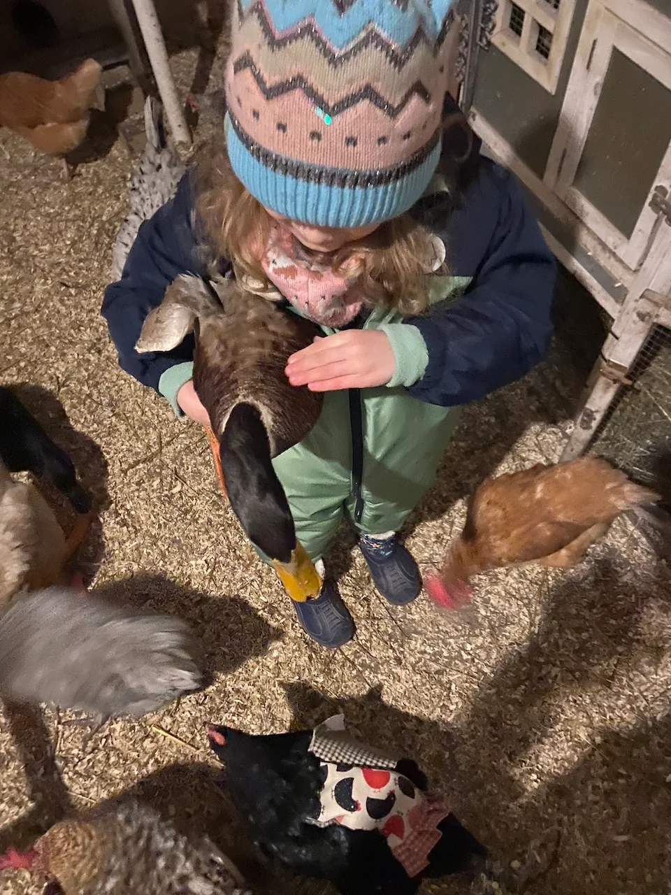 Mädchen und Vogel von Tierbegegnungshof-Herzensbande