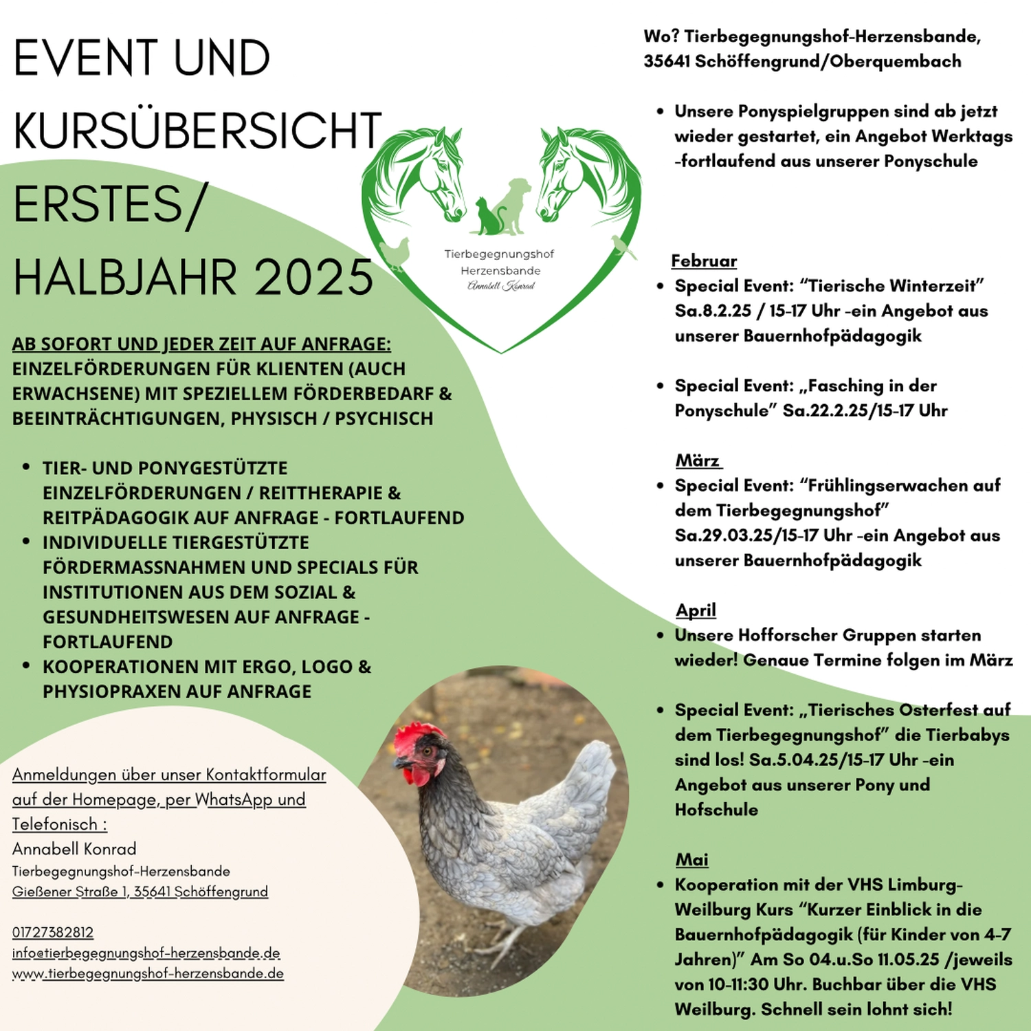 Pferd von Tierbegegnungshof-Herzensbande