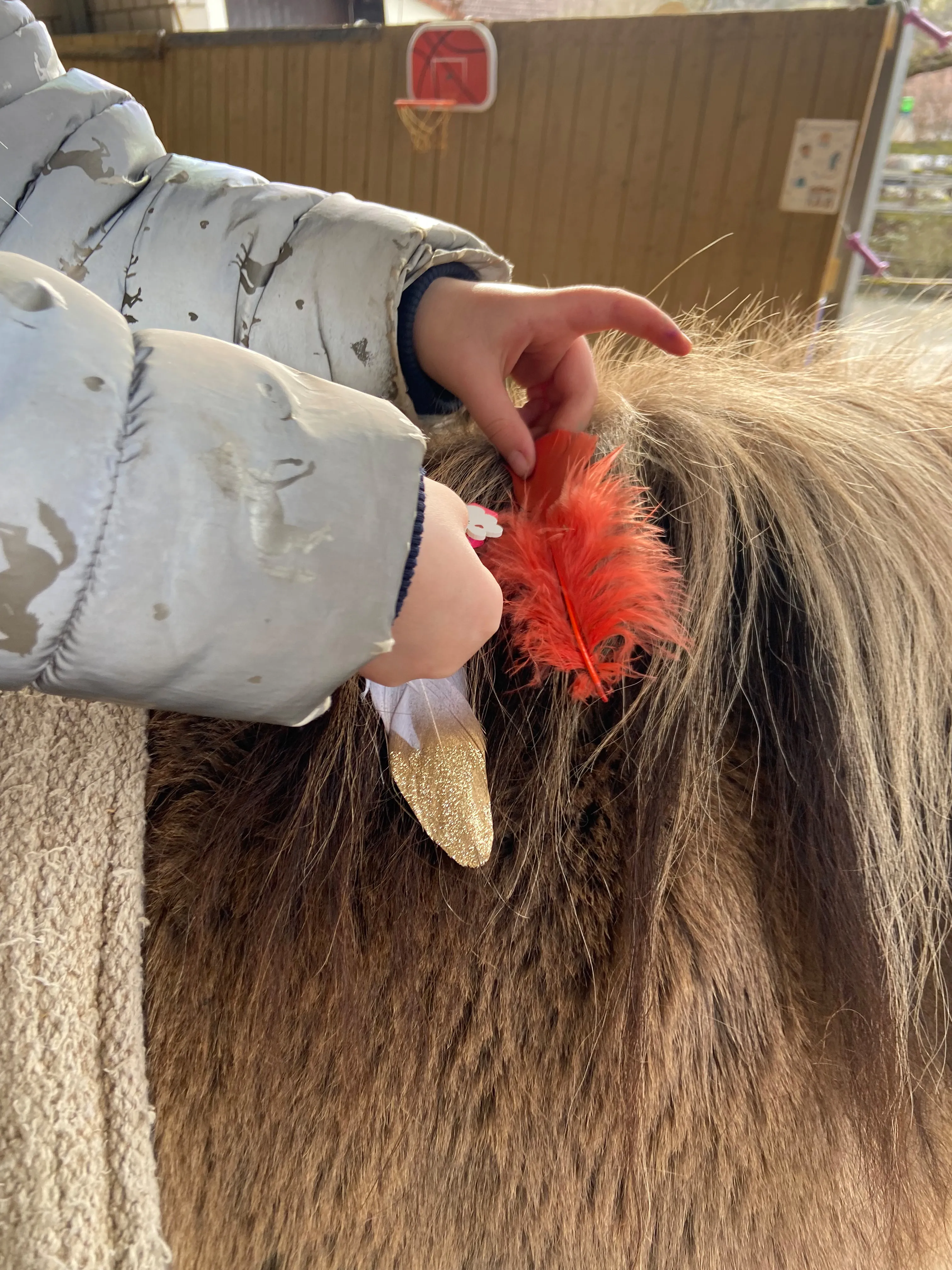 Kind auf Pferd von Tierbegegnungshof-Herzensbande