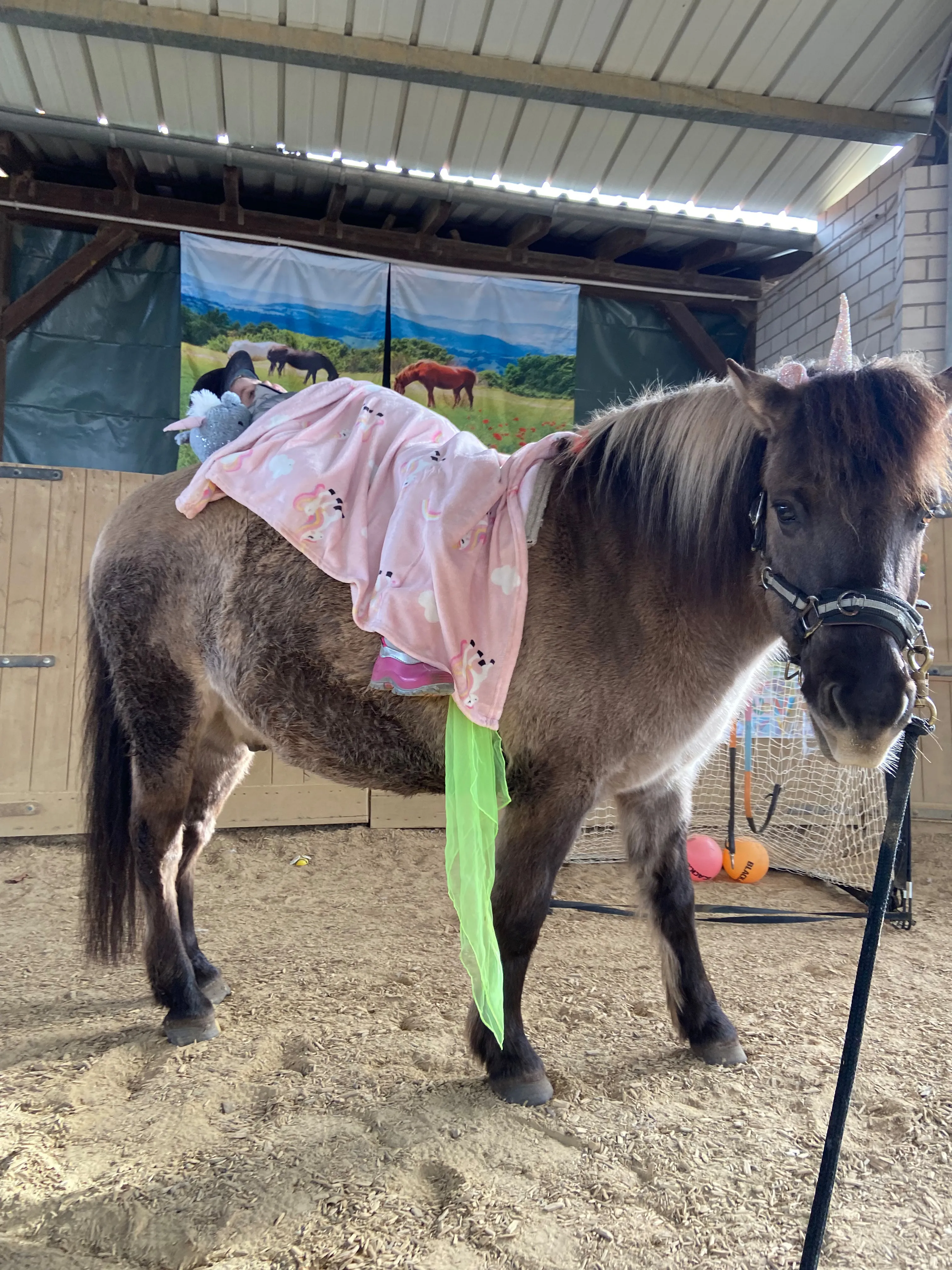 Kind auf Pferd von Tierbegegnungshof-Herzensbande