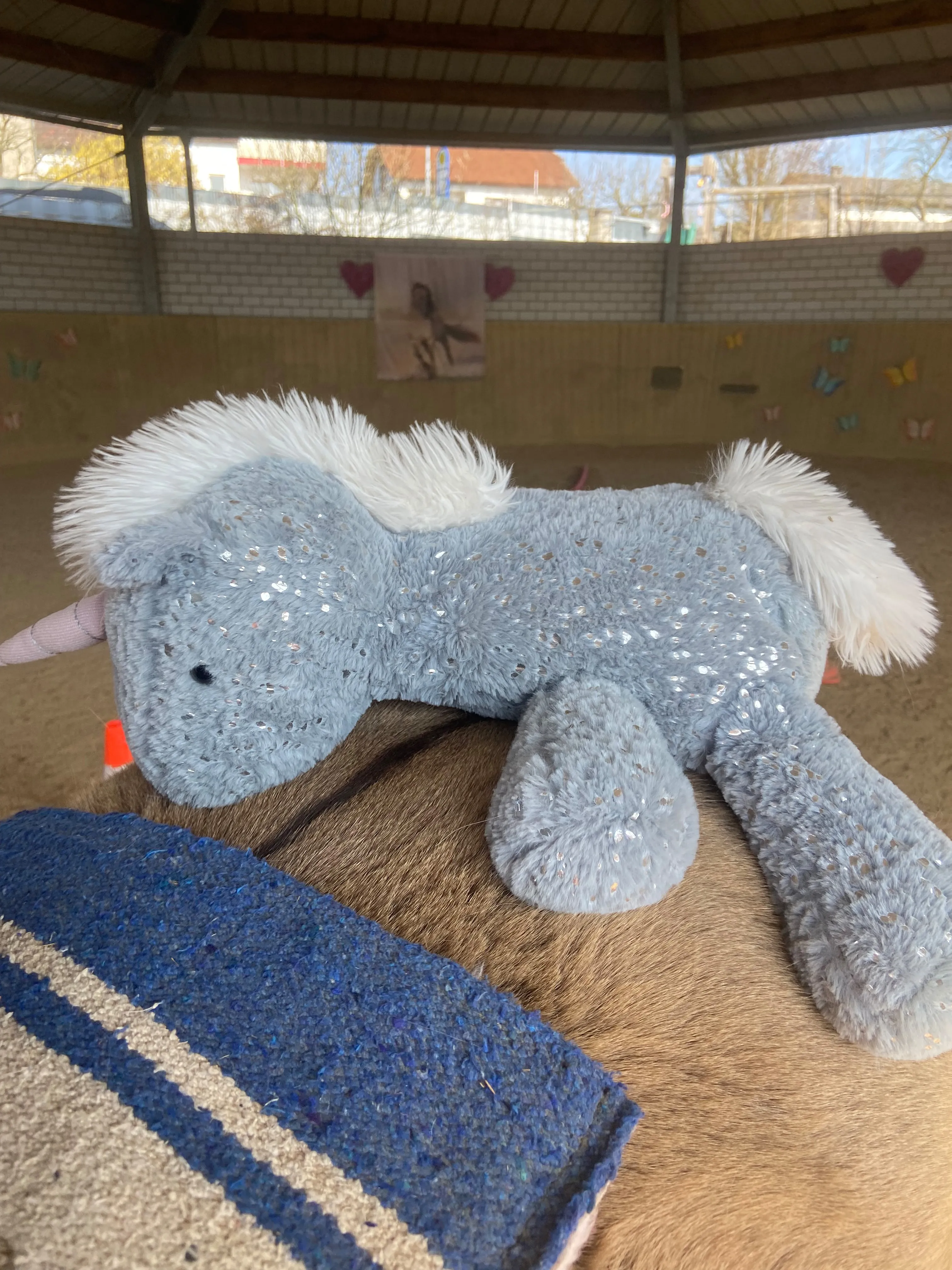 Kind auf Pferd von Tierbegegnungshof-Herzensbande