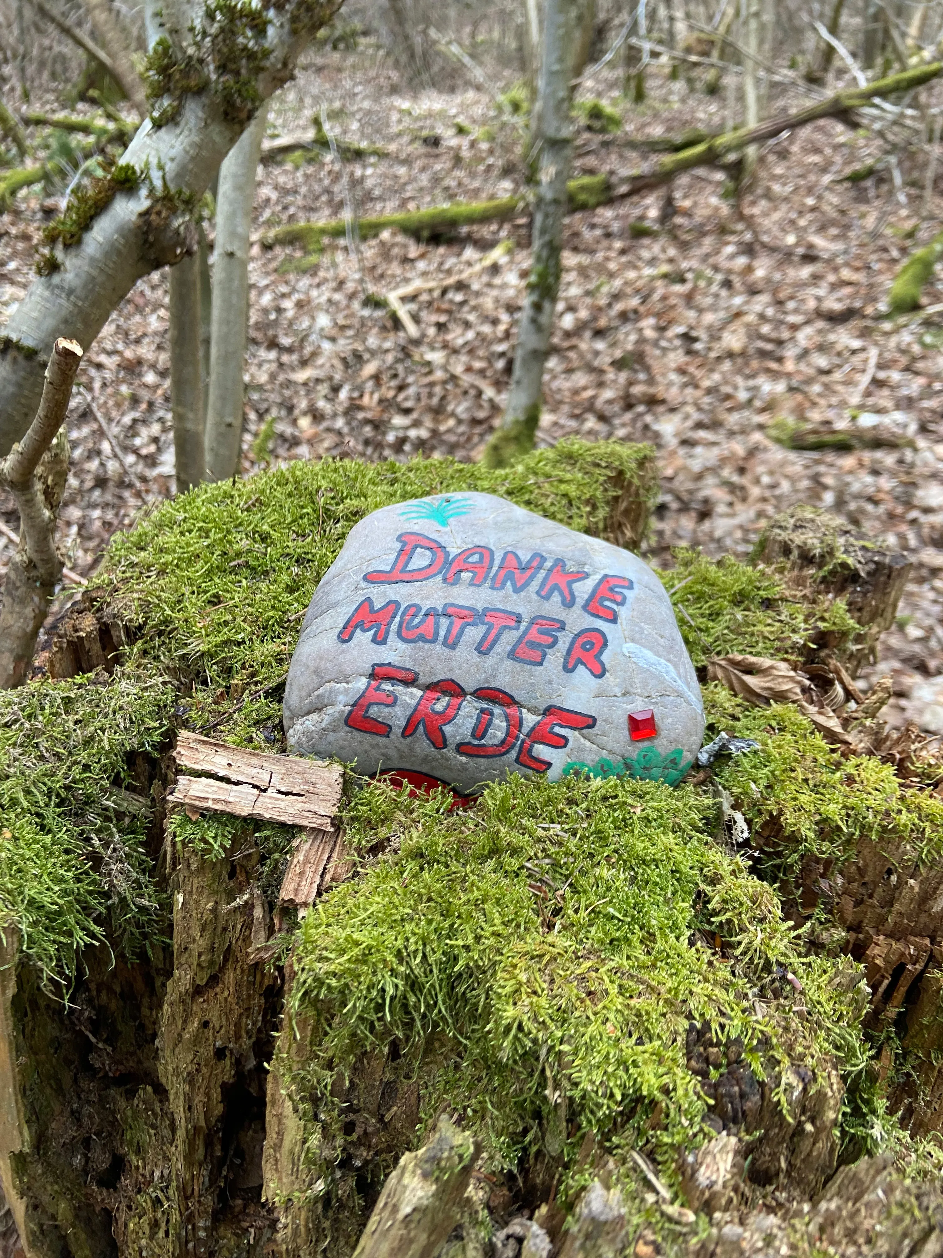 Insekt auf Baum von Tierbegegnungshof-Herzensbande