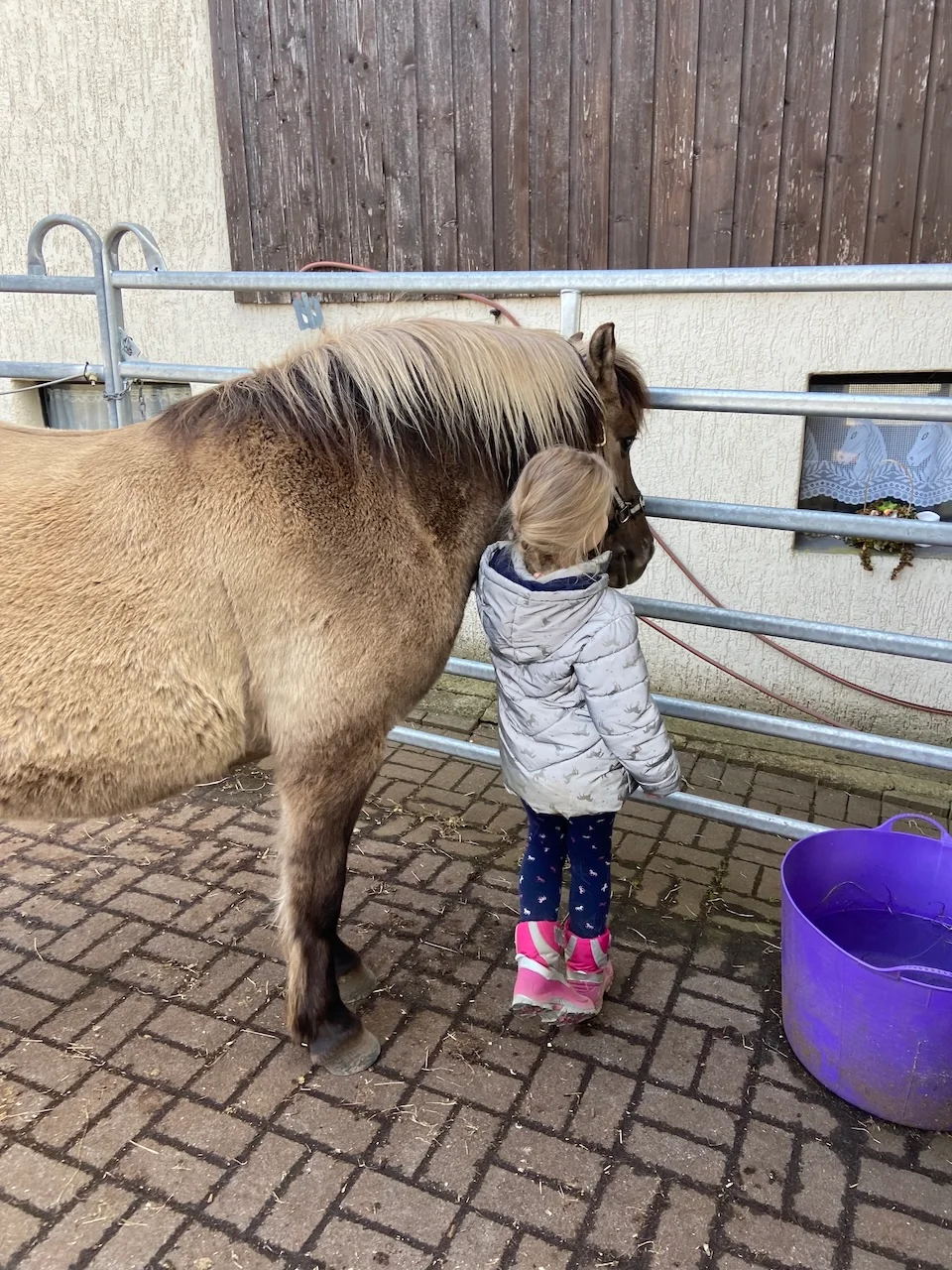 Ponyspielgruppen von Tierbegegnungshof-Herzensbande
