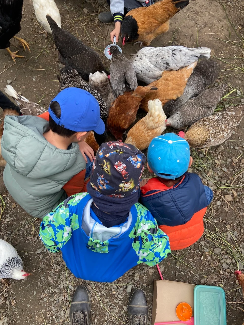 Ein Kind im Rollstuhl sitzt drinnen mit einem Hund, beleuchtet von warmem Sonnenlicht, das durch ein großes Fenster fällt.