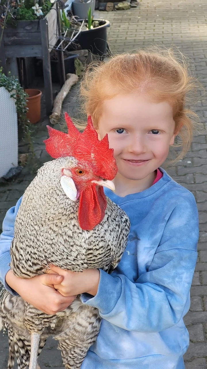 Tröstender älterer Mann mit Haustiertherapie