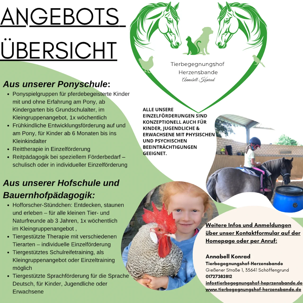 Pferd von Tierbegegnungshof-Herzensbande